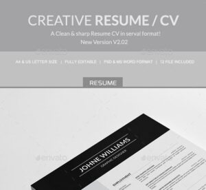 Microsoft Word CV Template