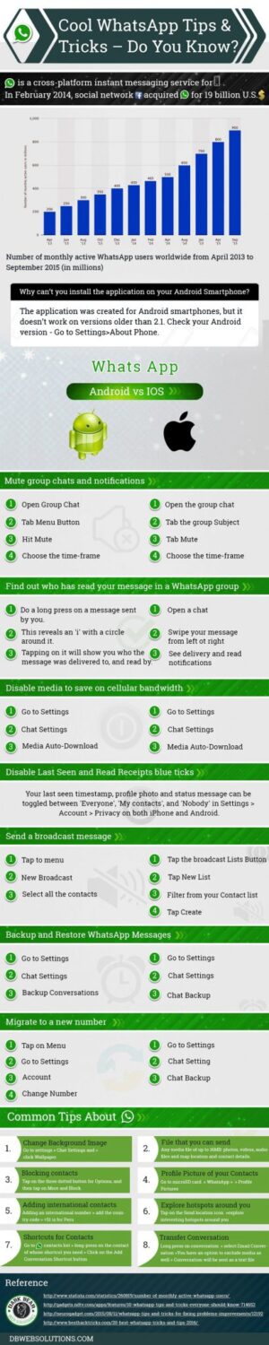 Whatsapp Infographic