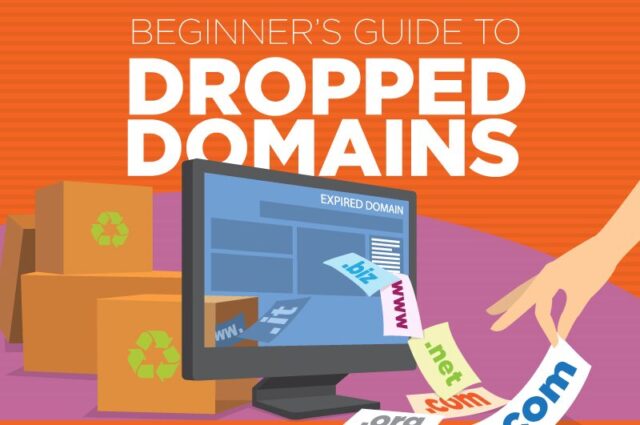 Dropped Domains guide