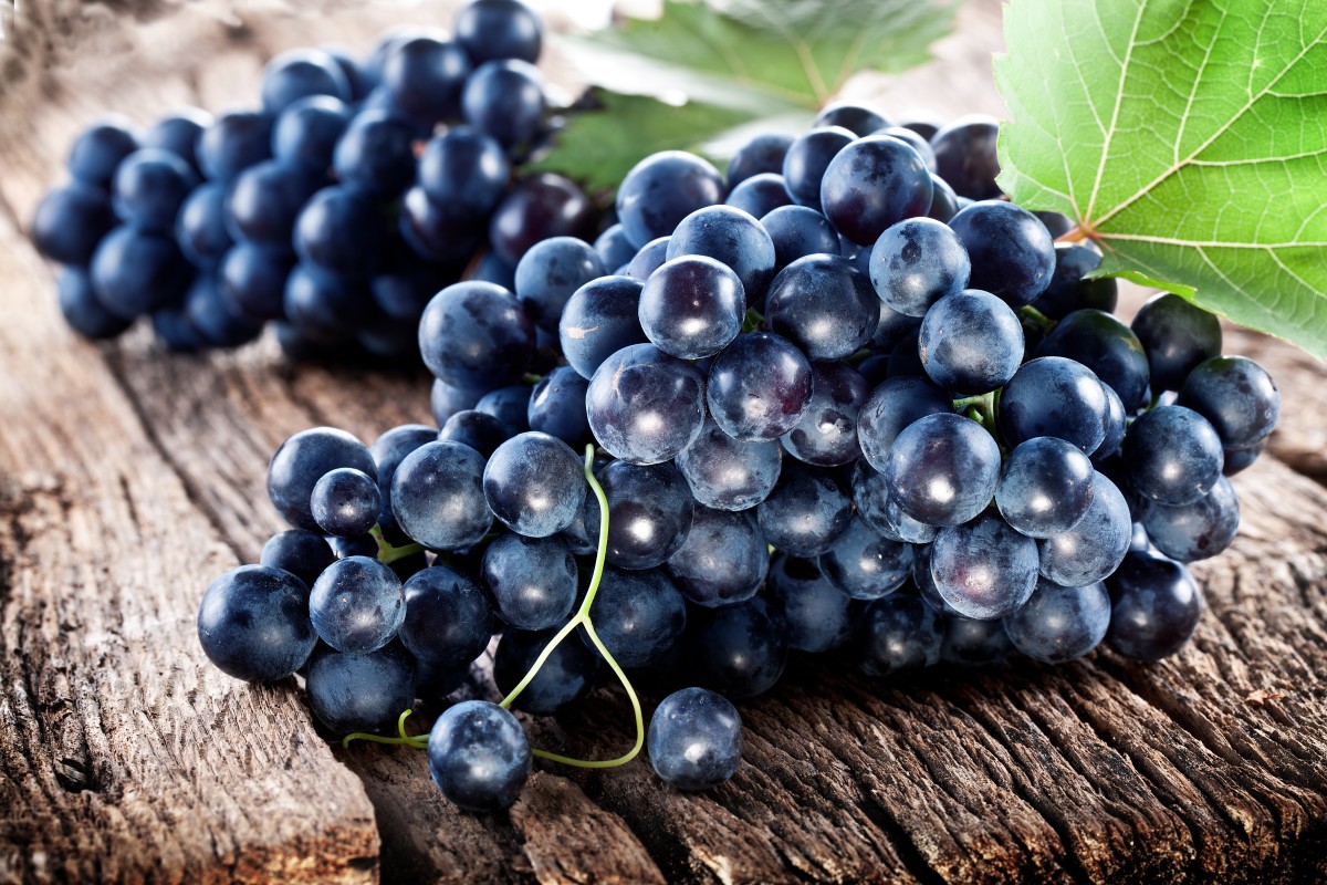 grapes may boost memory